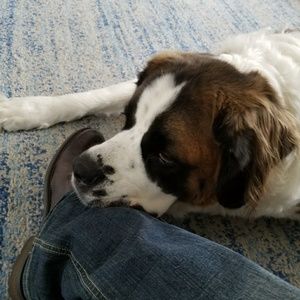 Meet your Posher, James